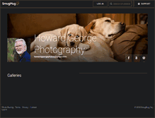 Tablet Screenshot of howardgeorge.com